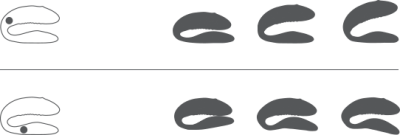 We-Vibe Sync Flexibility