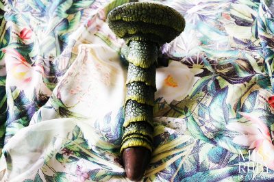 An image of the Monster Cocks CreatureCock