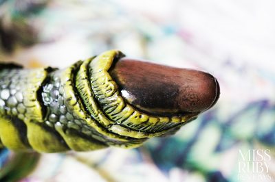 An image of the Monster Cocks CreatureCock